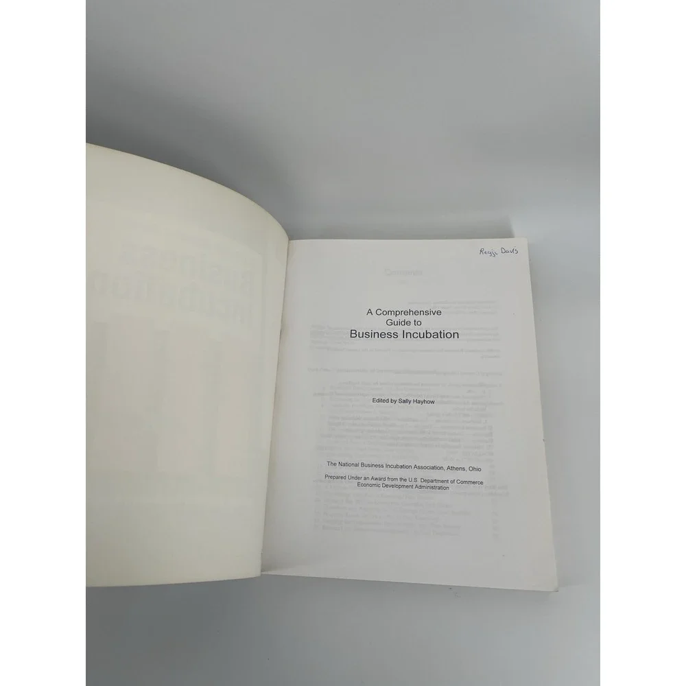 Vintage‎ A Comprehensive Guide to Business Incubation 1996 Paperback
